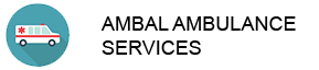ClickPlus Solutions Logo